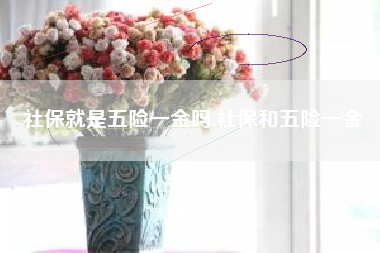 社保就是五险一金吗,社保和五险一金