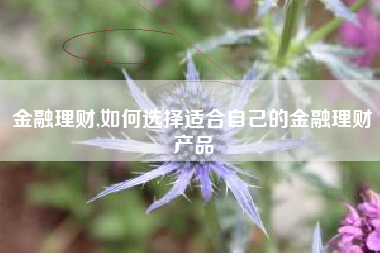 金融理财,如何选择适合自己的金融理财产品