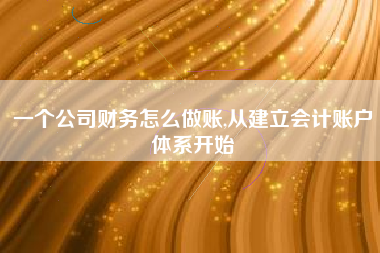 一个公司财务怎么做账,从建立会计账户体系开始