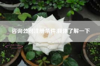 咨询公司注册条件,具体了解一下