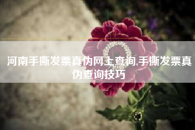 河南手撕发票真伪网上查询,手撕发票真伪查询技巧