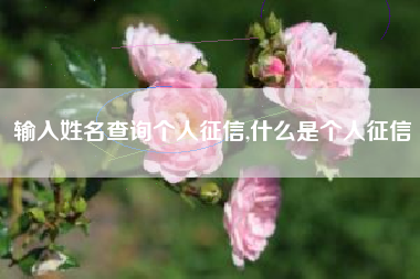输入姓名查询个人征信,什么是个人征信