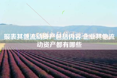 报表其他流动资产包括内容,企业其他流动资产都有哪些