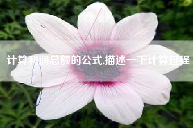 计算利润总额的公式,描述一下计算过程