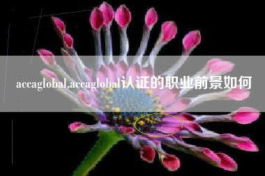 accaglobal,accaglobal认证的职业前景如何