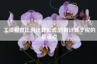 工资税收比例计算公式,如何计算个税的起征点