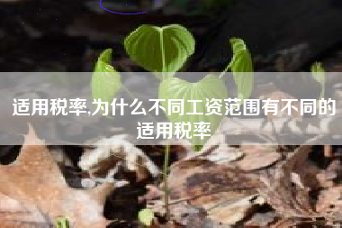 适用税率,为什么不同工资范围有不同的适用税率