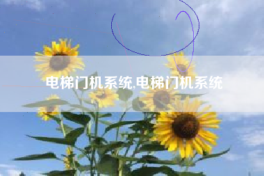 电梯门机系统,电梯门机系统