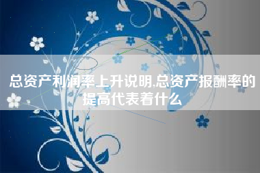 总资产利润率上升说明,总资产报酬率的提高代表着什么