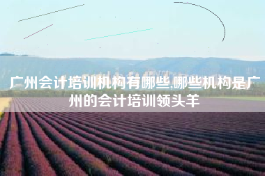 广州会计培训机构有哪些,哪些机构是广州的会计培训领头羊