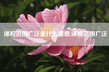 课税范围广泛是什么意思,课税范围广泛