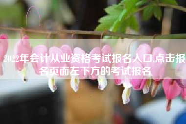 2022年会计从业资格考试报名入口,点击报名页面左下方的考试报名