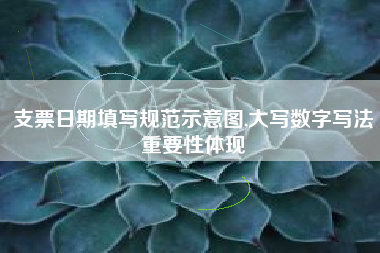 支票日期填写规范示意图,大写数字写法重要性体现