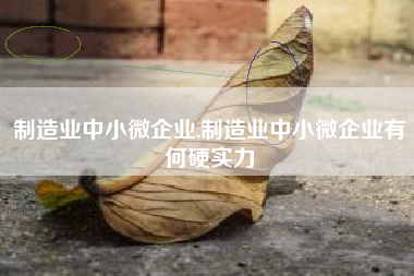制造业中小微企业,制造业中小微企业有何硬实力