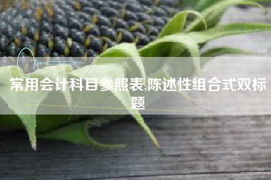 常用会计科目参照表,陈述性组合式双标题