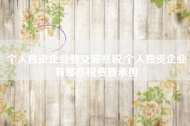 个人独资企业要交哪些税,个人独资企业有哪些税费要承担
