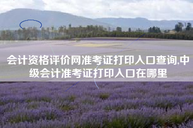 会计资格评价网准考证打印入口查询,中级会计准考证打印入口在哪里