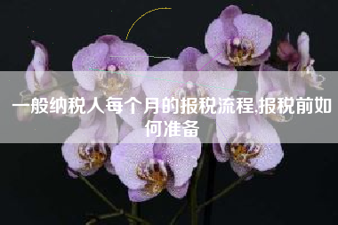 一般纳税人每个月的报税流程,报税前如何准备