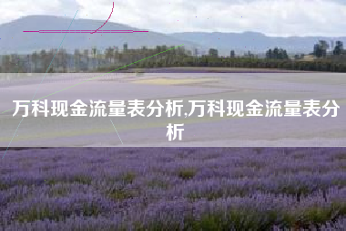 万科现金流量表分析,万科现金流量表分析