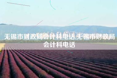 无锡市财政局会计科电话,无锡市财政局会计科电话
