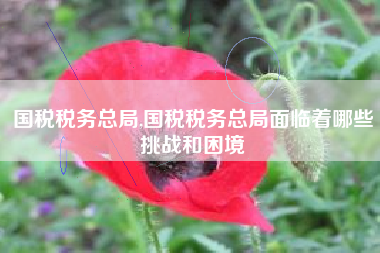 国税税务总局,国税税务总局面临着哪些挑战和困境