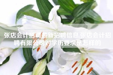 张店会计招聘最新招聘信息,张店会计招聘有限公司对学历要求是怎样的