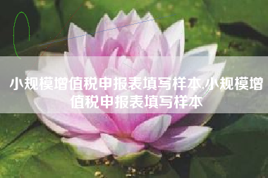 小规模增值税申报表填写样本,小规模增值税申报表填写样本