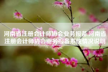河南省注册会计师协会业务报备,河南省注册会计师协会业务报备系统情况说明