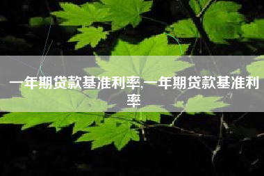一年期贷款基准利率,一年期贷款基准利率