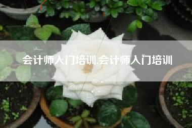 会计师入门培训,会计师入门培训