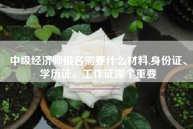 中级经济师报名需要什么材料,身份证、学历证、工作证哪个重要
