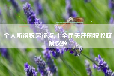 个人所得税起征点,丨全民关注的税收政策议题