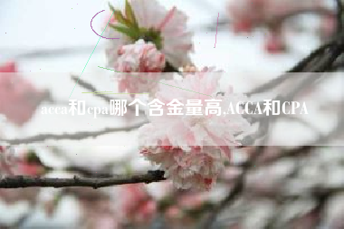 acca和cpa哪个含金量高,ACCA和CPA