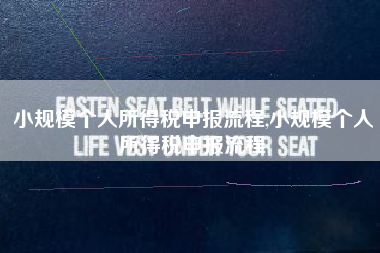 小规模个人所得税申报流程,小规模个人所得税申报流程