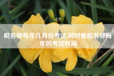 税务师每年几月份考试,何时是税务师每年的考试时间