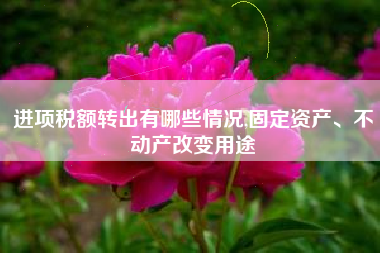 进项税额转出有哪些情况,固定资产、不动产改变用途
