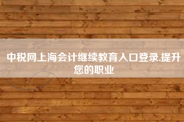 中税网上海会计继续教育入口登录,提升您的职业