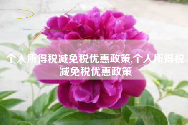 个人所得税减免税优惠政策,个人所得税减免税优惠政策