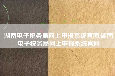 湖南电子税务局网上申报系统官网,湖南电子税务局网上申报系统官网