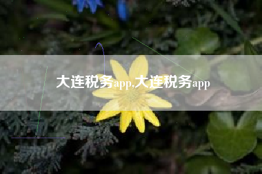 大连税务app,大连税务app