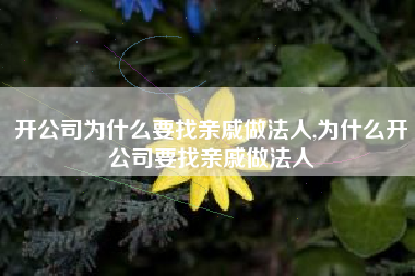 开公司为什么要找亲戚做法人,为什么开公司要找亲戚做法人