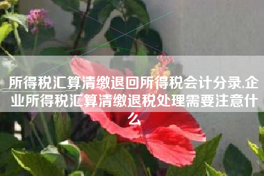 所得税汇算清缴退回所得税会计分录,企业所得税汇算清缴退税处理需要注意什么