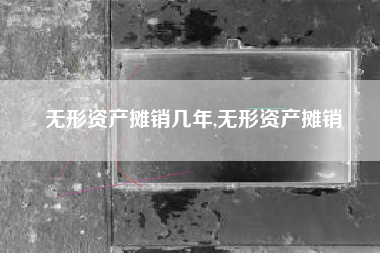 无形资产摊销几年,无形资产摊销