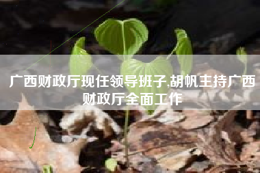 广西财政厅现任领导班子,胡帆主持广西财政厅全面工作