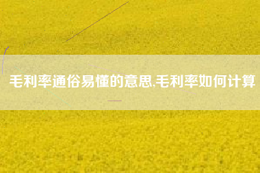 毛利率通俗易懂的意思,毛利率如何计算
