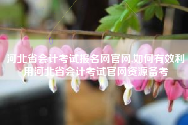 河北省会计考试报名网官网,如何有效利用河北省会计考试官网资源备考