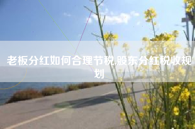 老板分红如何合理节税,股东分红税收规划