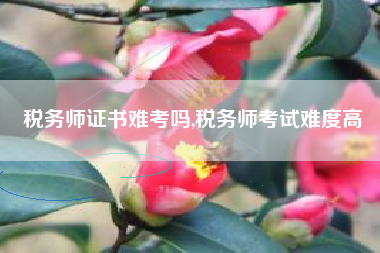 税务师证书难考吗,税务师考试难度高
