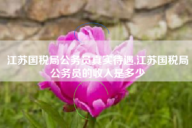 江苏国税局公务员真实待遇,江苏国税局公务员的收入是多少