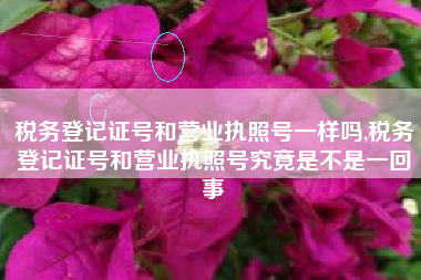 税务登记证号和营业执照号一样吗,税务登记证号和营业执照号究竟是不是一回事